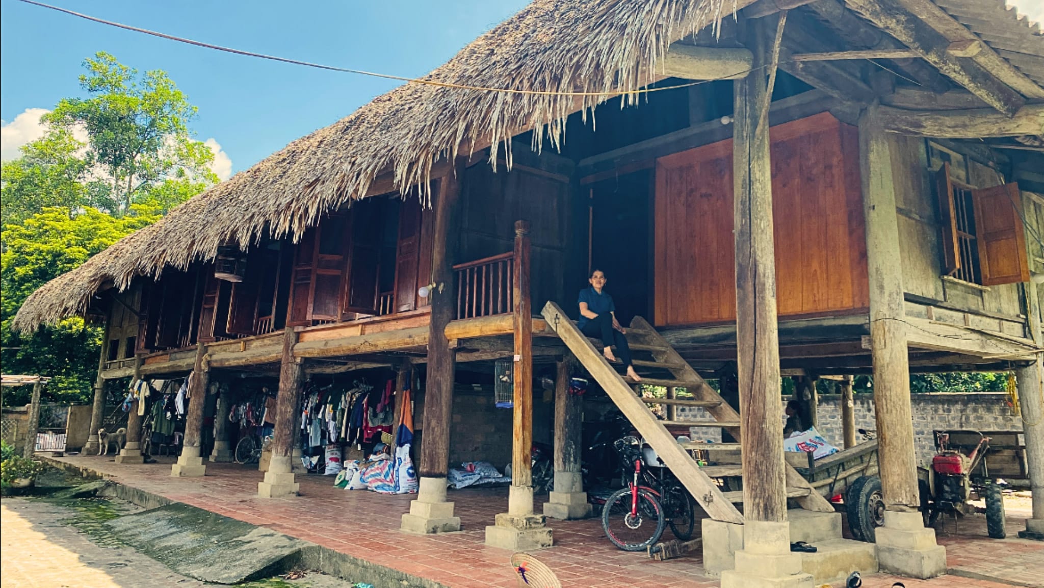The Stilt House